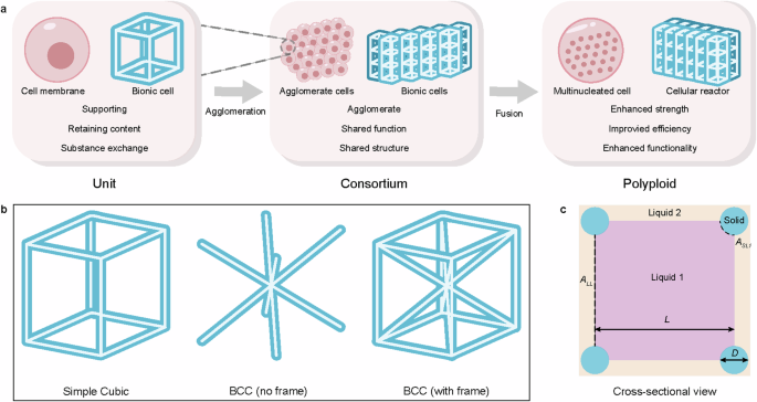 Fig. 1: Design of cellular reactors.