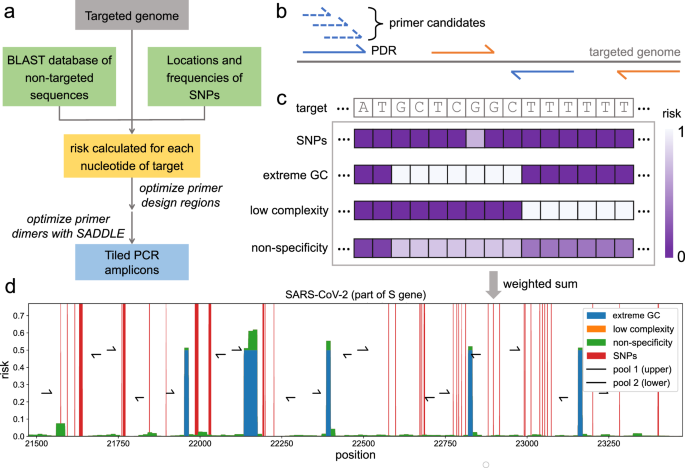 Fig. 1: Overall workflow of Olivar and example output.