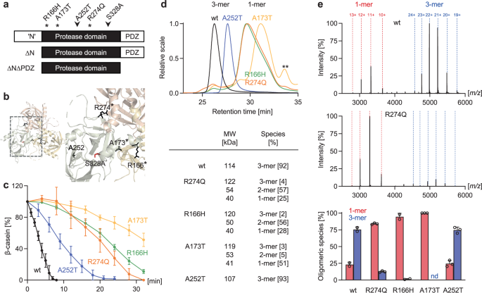脳卒中の原因となる突然変異を修正する(Correcting mutations that cause stroke)