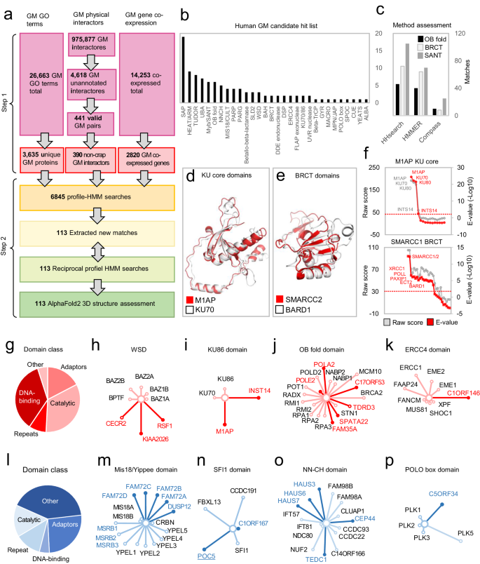 Fig. 1: Overview of the computational survey and summary of results.