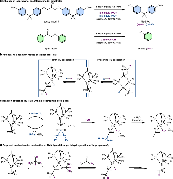 Fig. 2: Catalytic disconnection on model compounds and reactivity of TMM ligand.