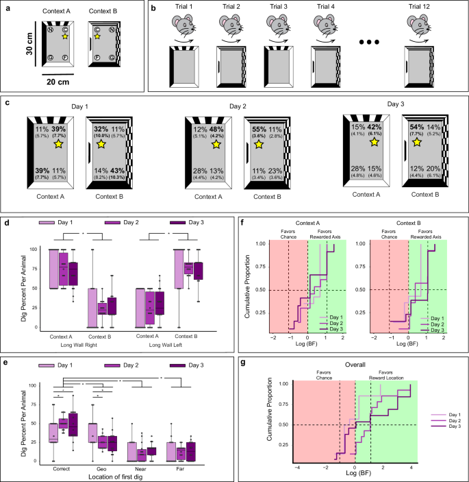 Fig. 1: Reorientation behavior in a two-context paradigm.
