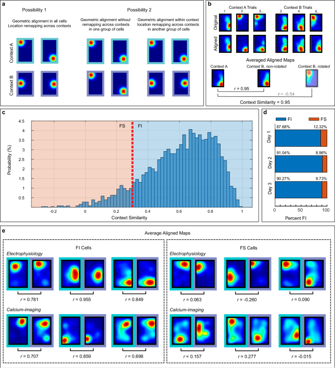 Fig. 3: Different CA1 cells display distinct context sensitivity.