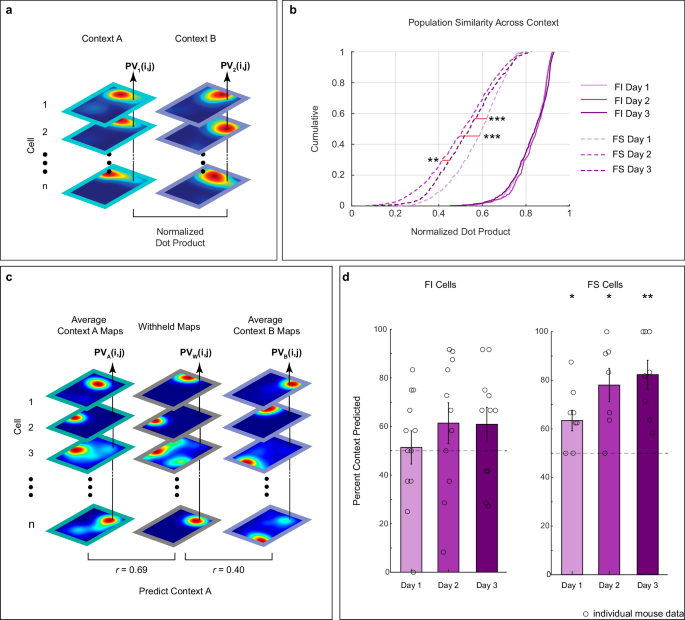Fig. 4: FS cells display lower context similarity than FI cells and predict context across days.