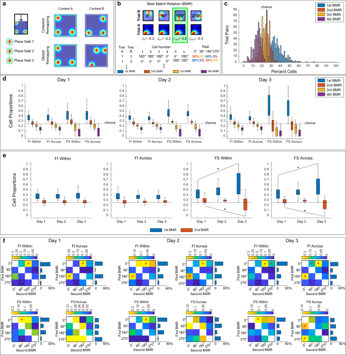 Fig. 5: FI and FS cells display coherent patterns of alignment within and across contexts.