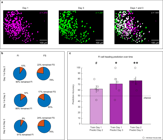 Fig. 6: FI cells can predict heading across time.