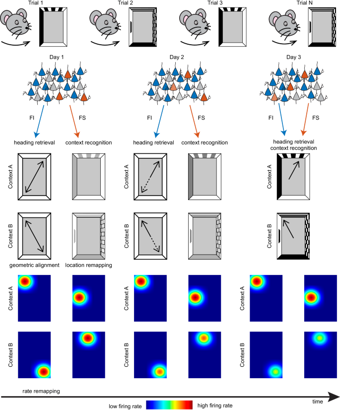 Fig. 8: Illustration of the proposed model for CA1 coding of heading retrieval and context recognition.