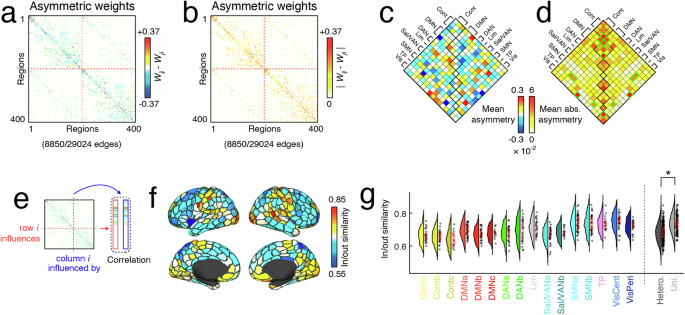 Fig. 4: Asymmetries of influence between brain regions as assessed by inferred structural weights.