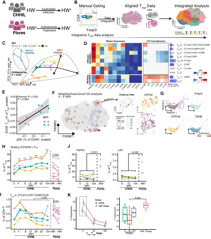 Fig. 3: Helminths infection is associated with CD45RA+ resting Tregs in both controlled and natural infection settings.