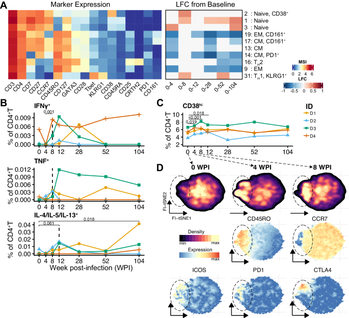 Fig. 4: Development of hookworm antigen-specific cytokine responses by CD4+T cells and the relevance of ex vivo CD38 expression on CD4+T cells.