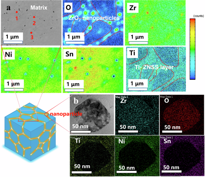 Fig. 3: Microscopic characterization of composite phase interfaces.