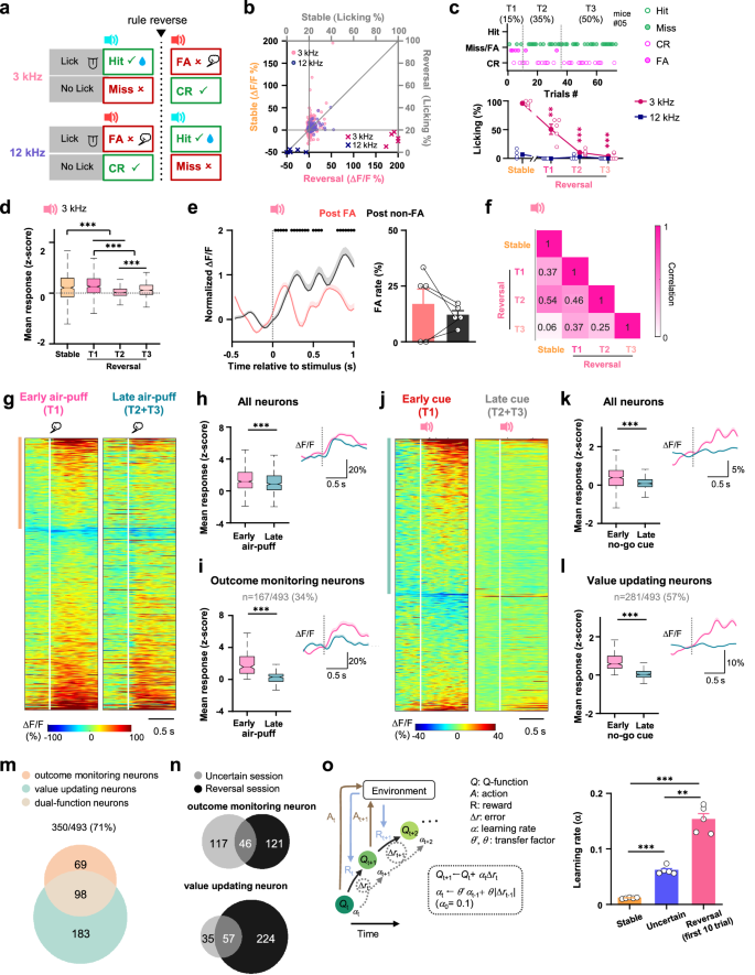 Anterior cingulate cortex provides the neural substrates for 