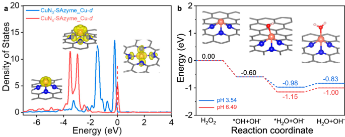 Fig. 4: DFT studies on the peroxidase-like activity of CuN3-SAzyme.