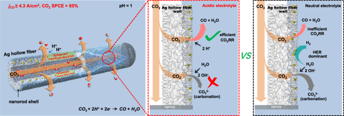 Fig. 1: Function outline of acidic CO2 electroreduction over hollow fiber silver electrode.
