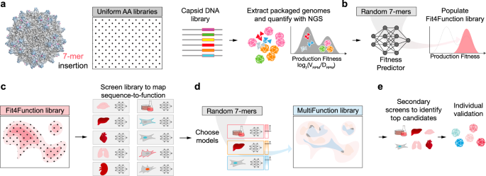 Fig. 1: Systematic multi-trait protein optimization paradigm.
