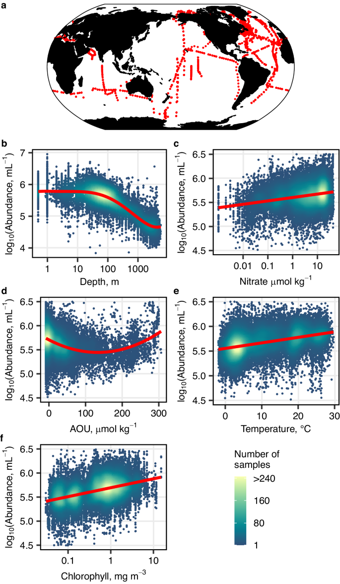Fig. 1: Prokaryotic abundance statistical model.