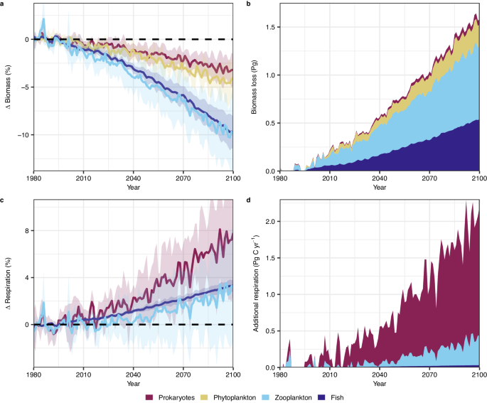 Fig. 4: Impacts of projected climate change on global marine biomass and heterotrophic respiration in epipelagic (<200 m) waters.