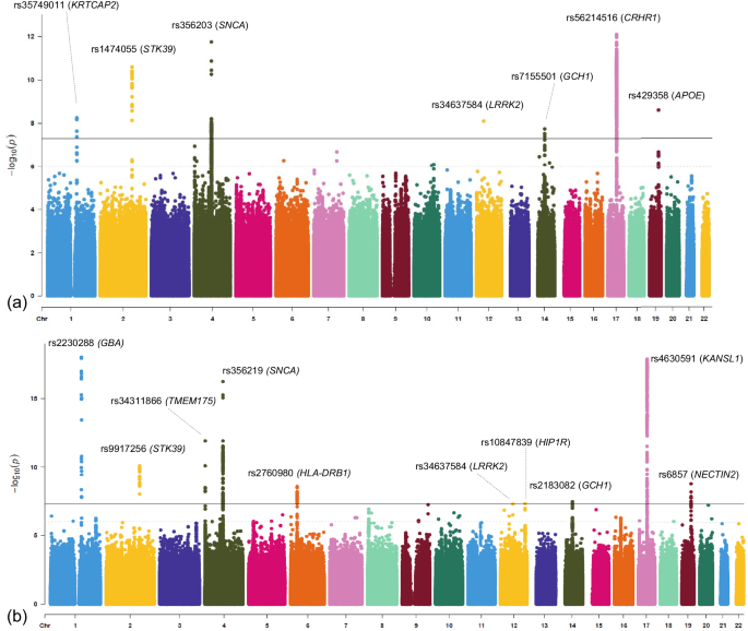 Fig. 2: Manhattan plots for PD case-control GWAS using the EHR-based clinically defined cohorts from the UKB and the UKB-FinnGen meta-analysis in European samples.