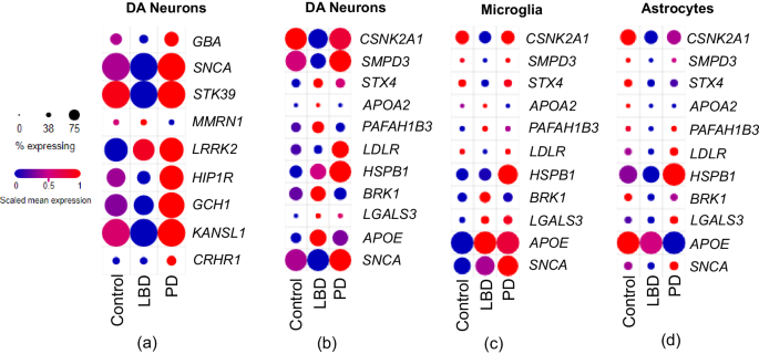 Fig. 6: Expression profiles of PD-associated genes among PD, LBD, and healthy individuals.