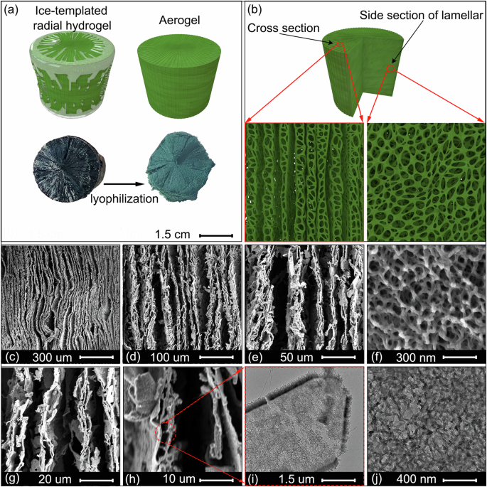 Fig. 2: Morphology model and characterizations.