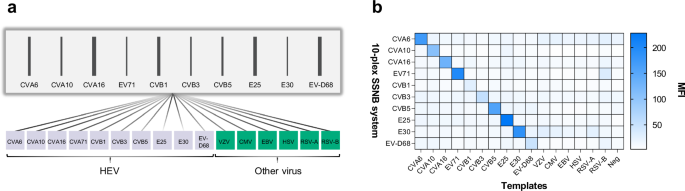 Fig. 4: Validation of specificity of SSNB.