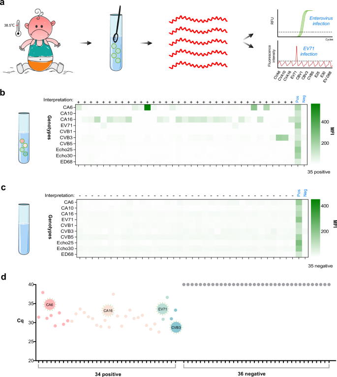Fig. 6: SSNB validation in clinical specimens.