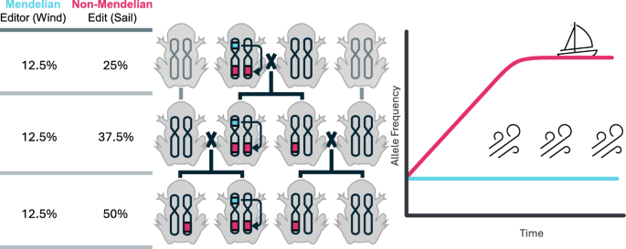 野生個体群の形質と運命を変える新しい遺伝子編集技術(New genetic-editing technique to alter the traits and fates of wild populations)