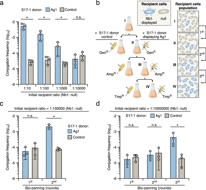 Fig. 2: Iterative rounds of bio-panning enhance the discriminant capacity of the CAM selection platform.