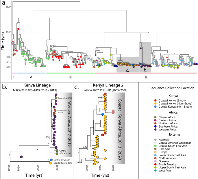 Fig. 3: Bayesian timed phylogenetic tree generated from phylogeographic analysis using six study sequences as well as publicly available sequences retrieved from Genbank.