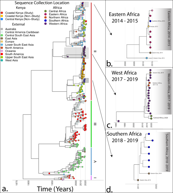 Fig. 6: Bayesian timed phylogenetic tree showing DENV-2 lineages causing major recent outbreaks in West Africa (Burkina Faso, Senegal—2016−2019), Eastern Africa, and Southern Africa (Angola—2017−2019).