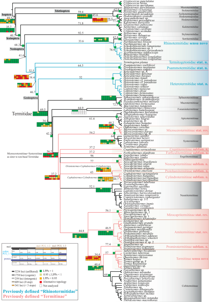 Genomic data provide insights into the classification of extant termites | Nature Communications genomic-data-provide-insights-into-the-classification-of-extant-termites-nature-communications