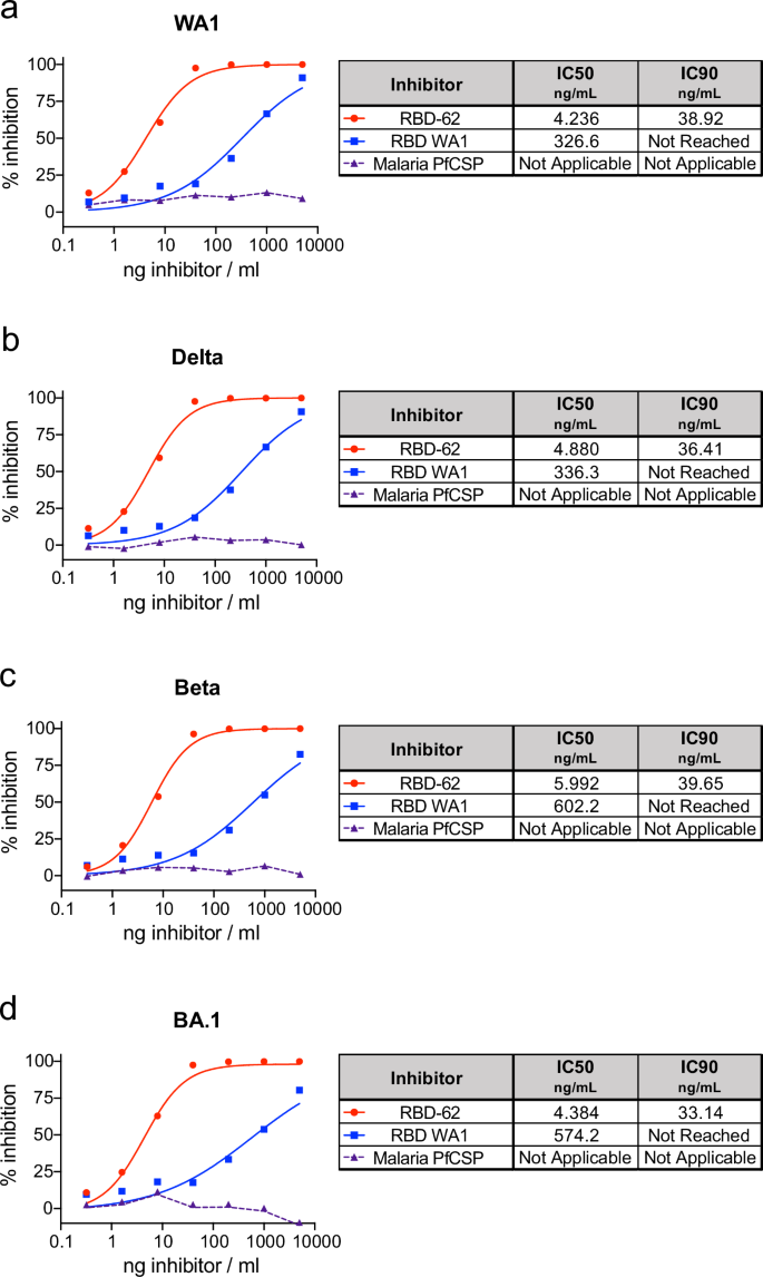 Fig. 1: Inhibition of variant S–ACE2 binding.