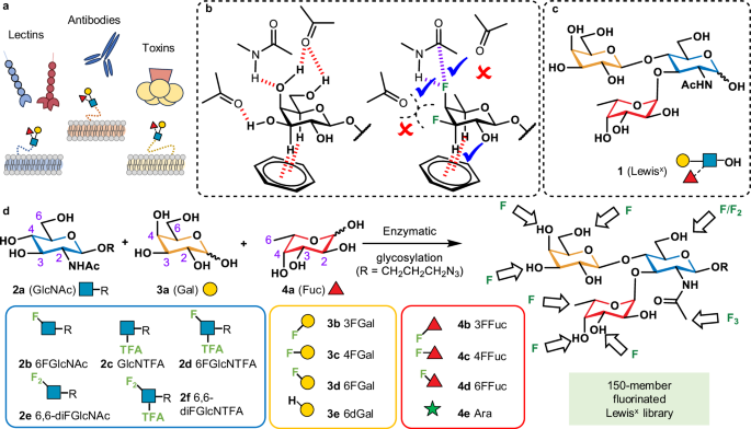 Fig. 1: Aim of this work.