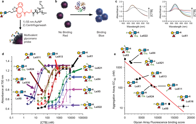 Fig. 5: Glyconanoparticle-based sensing of CTB.