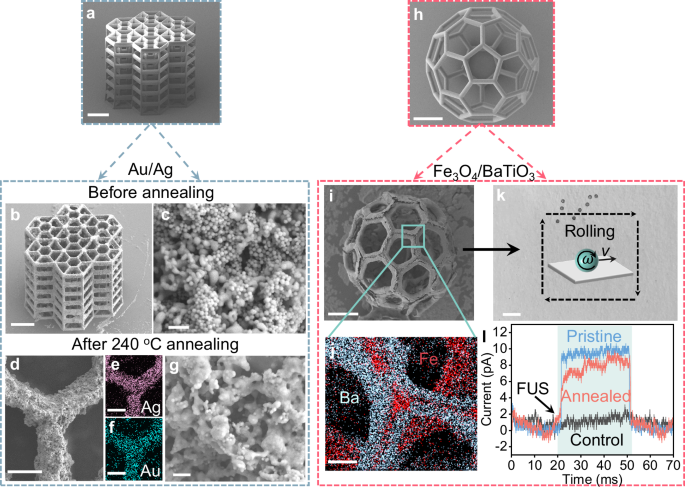 Fig. 5: Fabrication of microstructures made of heterogeneous materials and demonstration of on-demand functionalities.