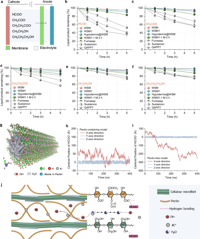 Fig. 4: Ion selective permeation of WSM1.