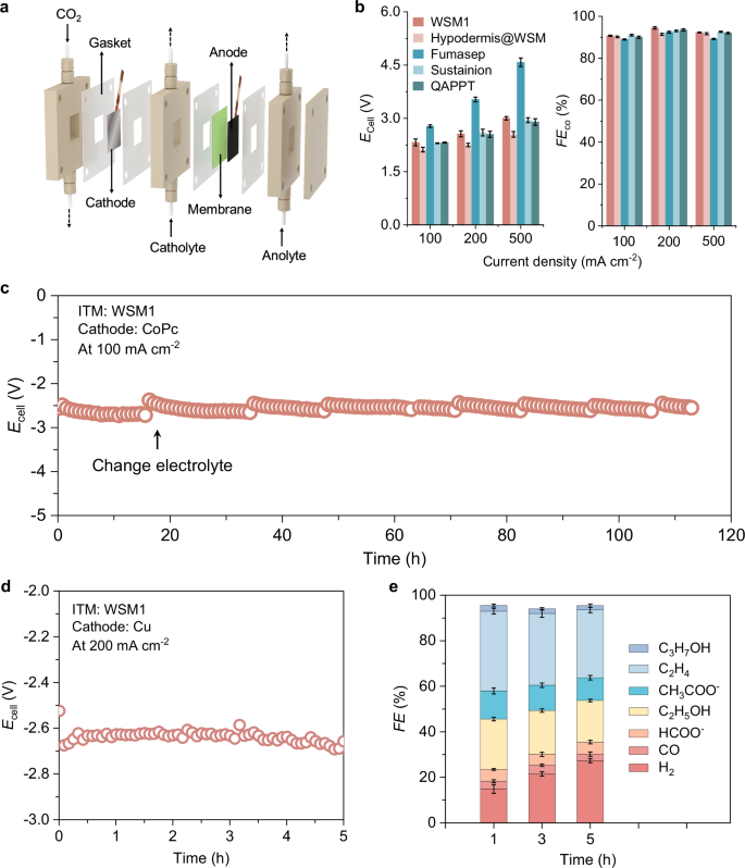 Fig. 5: The performance of the CO2RR system with WSM1 as ISM.