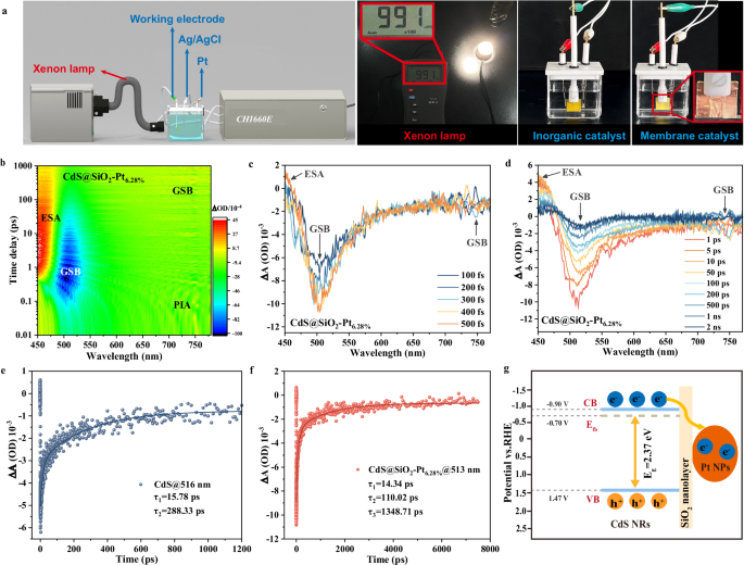 Fig. 3: The photoelectric properties and exciton dynamics of inorganic catalyst.