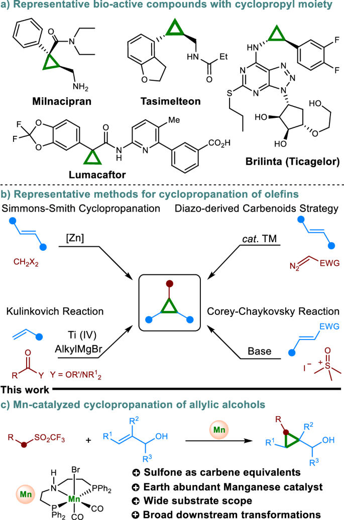 Fig. 1: The importance of cyclopropane and its synthesis.