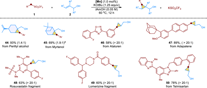 Fig. 4: Manganese-catalyzed cyclopropanation with complex substrates.