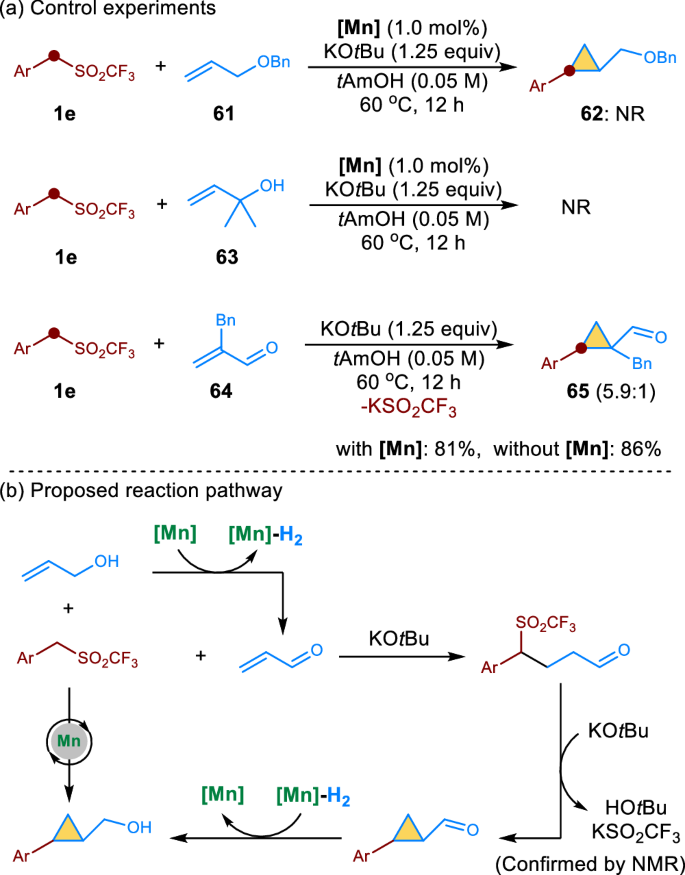 Fig. 6: Selected mechanistic studies and proposed pathway.