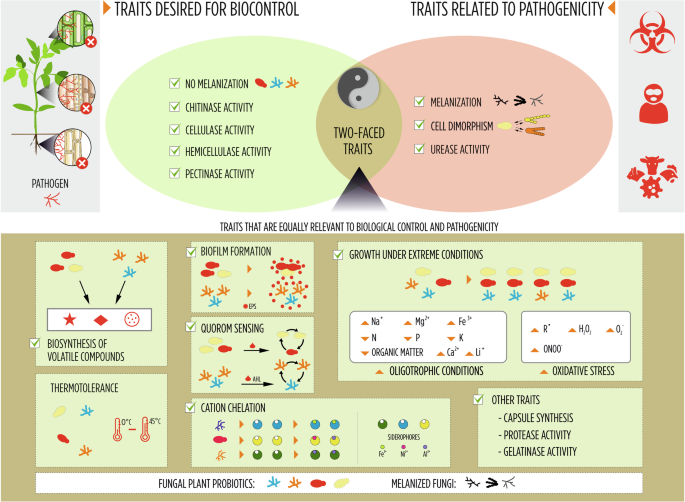 hypothesis for sustainable development figure 2