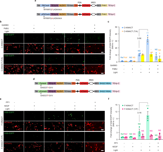 Fig. 2: General applicability of KINACT to different types of kinases.
