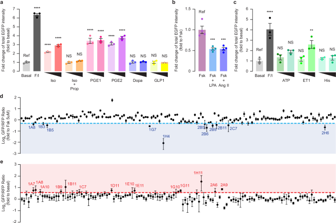 Fig. 4: A-KINACT for evaluating PKA responses to small molecule libraries.