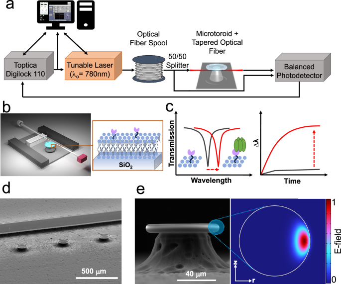 生物学的センシングのパワーと効率を記録的なレベルにまで高めた研究者たち(Researchers take power and efficiency of biological sensing to record level)