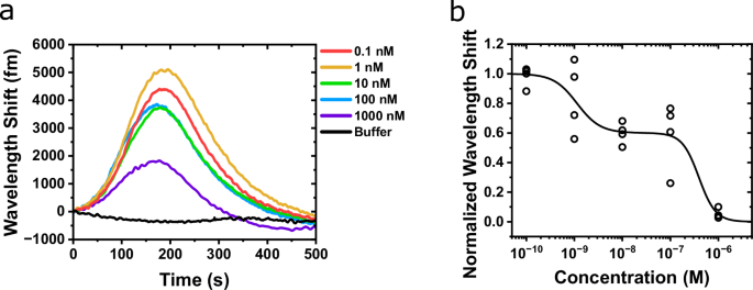Fig. 6: DynA 1-13/naloxone competitive binding experiment.