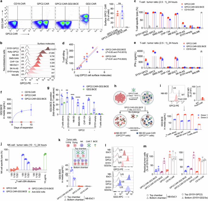 Fig. 4: CAR.BiCE-transduced T-cells induce GPC2 CAR-mediated cytotoxicity and secrete GD2 BiCE to activate bystander innate immunity in vitro.