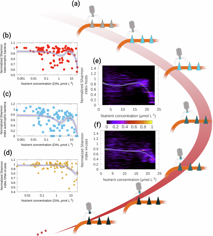 Viral Plasticity Facilitates Host Diversity In Challenging Environments viral-plasticity-facilitates-host-diversity-in-challenging-environments