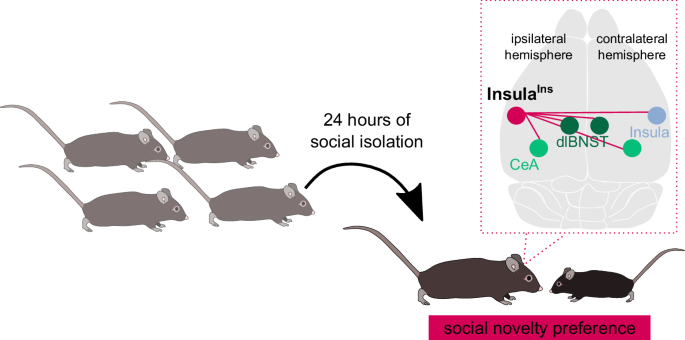 Fig. 7: Summary schematic.