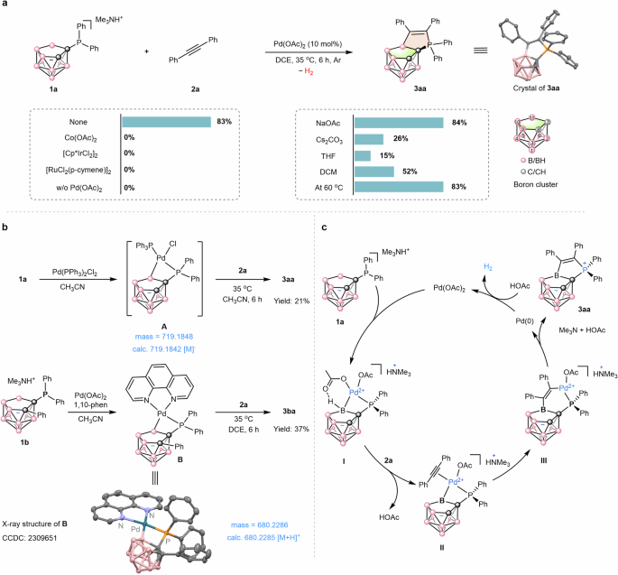 Fig. 2: Reaction discovery and mechanistic studies.